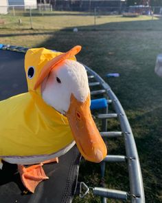 a stuffed duck wearing a yellow raincoat on top of a trampoline in a park