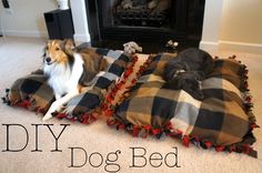 two dogs laying on blankets in front of a fire place with the words diy dog bed