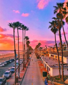 palm trees line the beach as the sun sets in front of buildings and parked cars