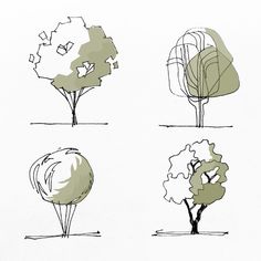 four different types of trees are shown in this drawing