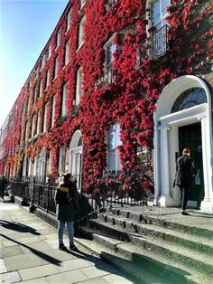 people are walking up and down the steps in front of a building with red flowers on it