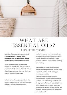 A BEAUTIFUL & SIMPLE APPROACH TO ESSENTIAL OILS. How Essential Oils Work, Motivation Essential Oil Blend, Essential Oils Purposes, Essential Oils Quotes, Magic Oil, Aroma Candles, Ecommerce Startup