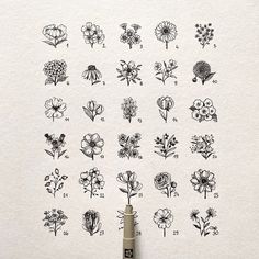 an image of flowers drawn on paper and inked onto the side of a wall