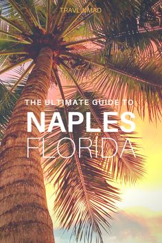 the ultimate guide to naples, florida