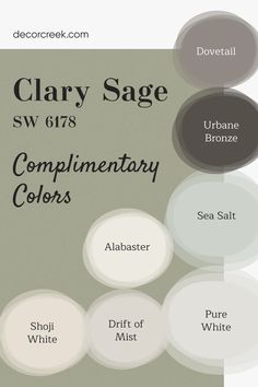 The image showcases complementary colors for the paint "Clary Sage SW 6178" by Sherwin-Williams. It displays color swatches labeled with their names, including Dovetail, Urbane Bronze, Sea Salt, Alabaster, Shoji White, Drift of Mist, and Pure White. The background is a soft green representing the Clary Sage color, and the design highlights the balance between soft neutrals and deeper accent tones. Alabaster And Pure White, Drift Of Mist, Urbane Bronze, Shoji White, Sage Green Walls, Feature Walls, Clary Sage, Complimentary Colors, Trim Color