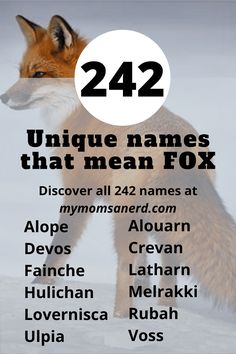 an animal with the words 42 unique names that mean fox