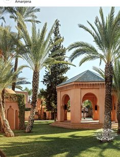 an outdoor gazebo surrounded by palm trees