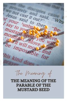 the meaning of the parable of the mustard seed seeds on an open bible page