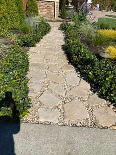 a stone path in the middle of a garden