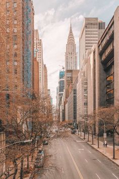 an empty city street with tall buildings in the back ground and trees on both sides