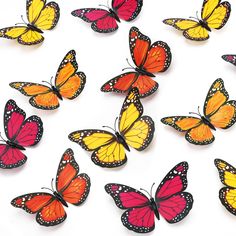 many different colored butterflies on a white surface