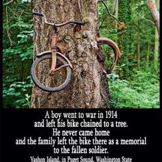 an image of a tree with a bike hanging from it's trunk and the caption below