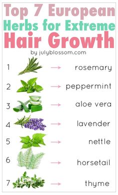 Women since long ago have been using herbs for their hair care. What remedies have they been using? One of them is herbs. This article talks about the top 7 European herbs for hair growth and how to use them so keep reading. Health Gummies, Media Pictures, 300 Workout, Hair Recipes, Stop Hair Breakage, Extreme Hair Growth, Money Honey