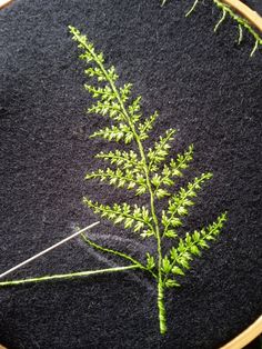 a close up of a plant on a black surface with needle and thread in it