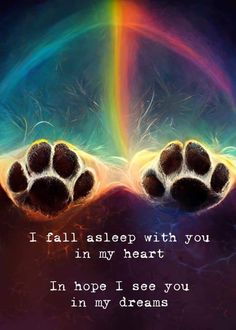 two paws with the words i fall asleep with you in my heart, and an image of