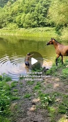 a horse is standing in the water with its mouth open