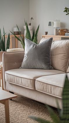 a living room filled with furniture and plants