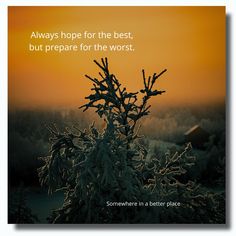 a tree with snow on it and a quote about the best way to prepare for the worst