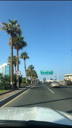 palm trees line the street in front of a highway sign and some buildings on either side