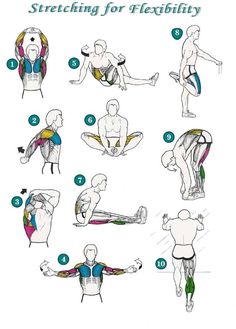 an exercise poster showing how to do stretches for flexibility