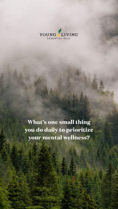 Whether it’s a mindful morning, a quiet moment, or a few deep breaths, small habits can make a big impact. 💫 ⁣

What’s one small thing you do each day to take care of your mental health? Let’s share and inspire each other! 💚 ⁣


#MentalWellness #SelfCare Mindful Morning, Essential Oils Young Living, Small Habits, Deep Breaths, Mental Wellness