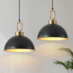 two black and gold pendant lights hanging from the ceiling next to a potted plant