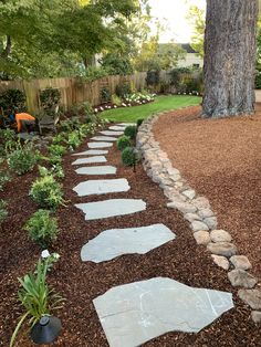 a stone path in the middle of a garden