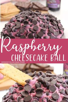 raspberry cheesecake ball with chocolate chips on top and a hand holding a cracker