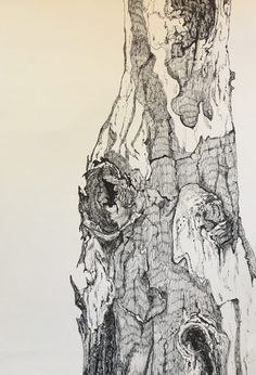 a black and white drawing of a tree trunk