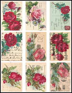 four different images of red roses with green leaves and flowers on them, all in various colors