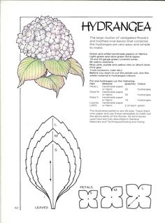 the instructions for how to make hydrangea flowers in this pattern are shown here