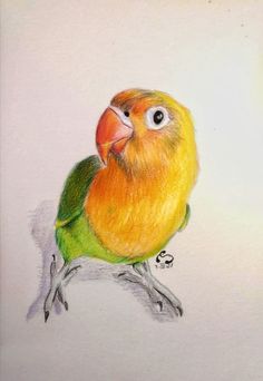 a drawing of a yellow and green bird