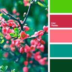 the color scheme is red, green and blue with pink flowers on it's branches