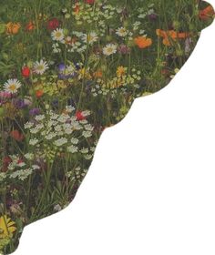 a field full of wildflowers and daisies in the shape of a map