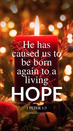 a red candle sitting on top of a christmas tree with the words he has paused us to be born again to a living hope