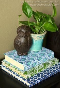 a potted plant sitting on top of a stack of books next to an owl figurine