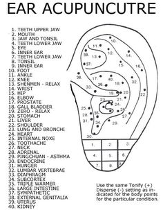 ear acupressure points | American Acupuncture - ear acupuncture points Ear Acupressure Points, Ear Acupressure, Autogenic Training, Ear Reflexology, Ear Acupuncture, Ear Seeds