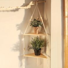 two potted plants sit on three tiered shelvings in front of a white wall