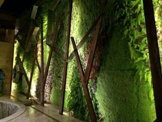 an indoor garden with moss growing on the walls and water running down it's sides