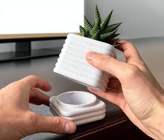 a person holding a plant in a small white pot on top of a wooden table