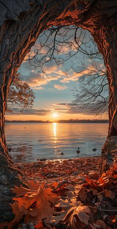 the sun is setting through an opening in a tree by the water's edge