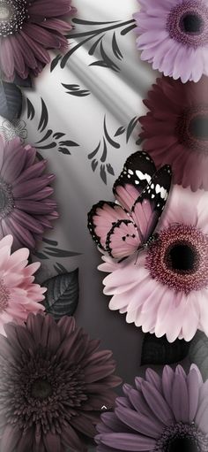 an image of flowers and butterflies in the background