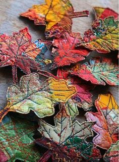 colorful autumn leaves laid out on a table