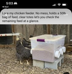 two chickens standing next to each other on top of a gravel covered ground with text reading love my chicken feeder no mess, holds a 50lb bag of feed