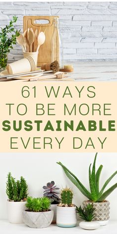 succulents and wooden utensils with text that reads 6 ways to be more sustainable every day