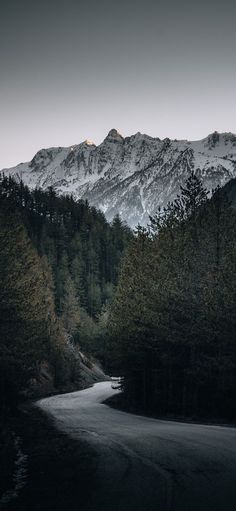 a mountain range with trees in the foreground