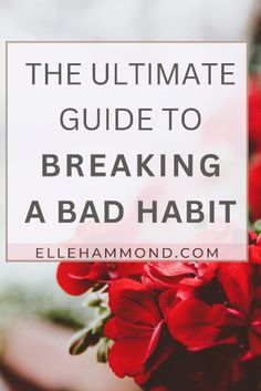 red flowers with the words the ultimate guide to breaking a bad habit on top of it