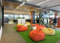 an office with bean bags on the floor and plants growing in the windows behind them