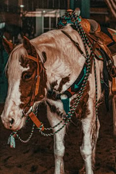 a brown and white horse wearing a bridle