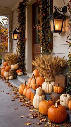 pumpkins and gourds are lined up on the front porch